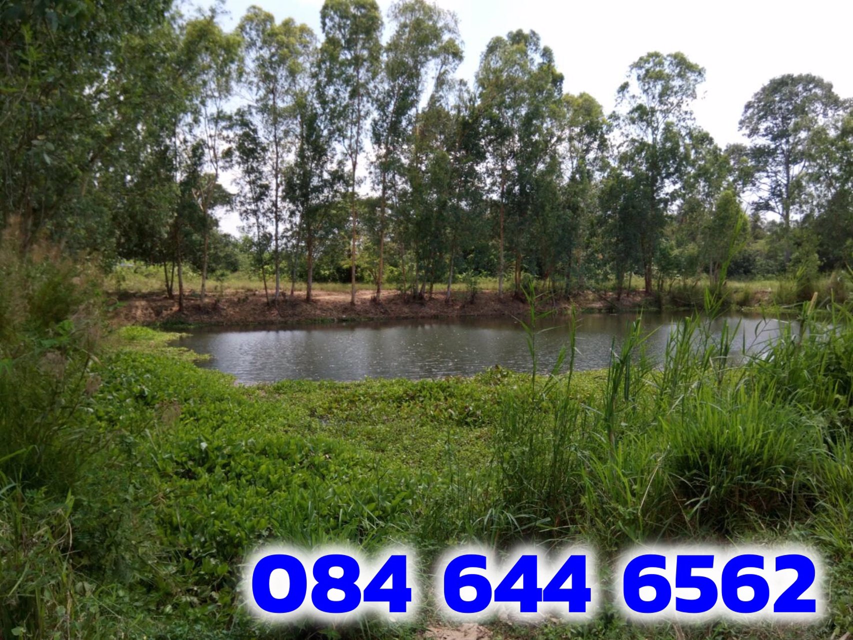 ขายที่ดินถูกมาก-บางละมุง-ชลบุรี-8ไร่-1งาน-6ตรว-ถมแล้ว-ที่สวยมากอยู่ที่พัทยาใกล้