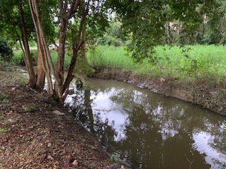 ขายที่ดินเปล่าติดห้าง-big-c-ดอนจั่น-เชียงใหม่