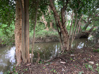 ขายที่ดินเปล่าติดห้าง-big-c-ดอนจั่น-เชียงใหม่