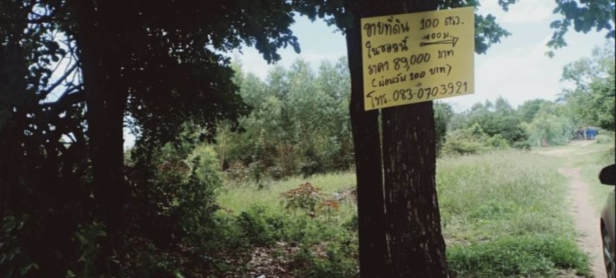 ขายที่ดิน100-ตรว-ราคา-69000บาท
