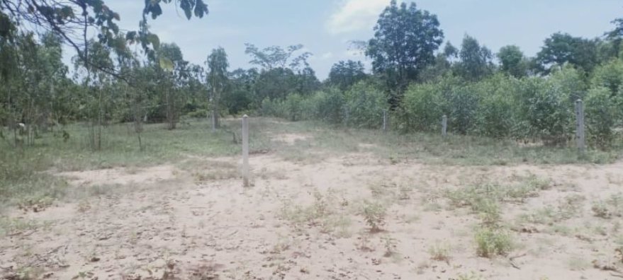 ขายที่ดิน100-ตรว-ราคา-69000บาท