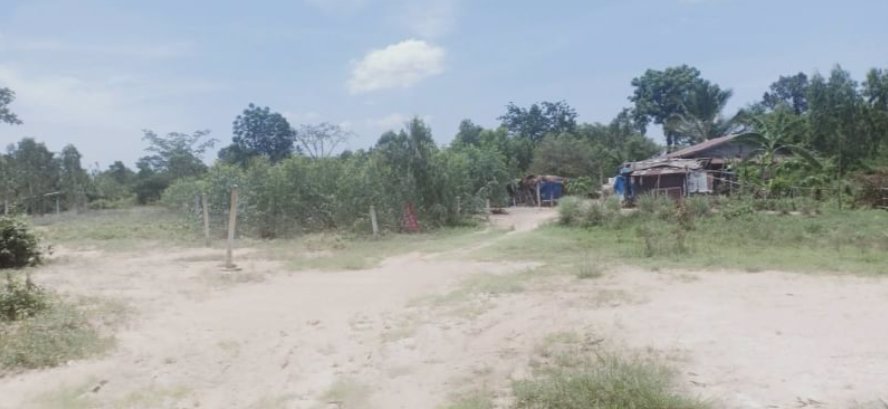 ขายที่ดิน100-ตรว-ราคา-69000บาท