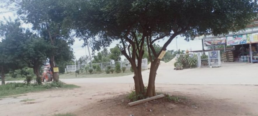 ขายที่ดิน100-ตรว-ราคา-69000บาท