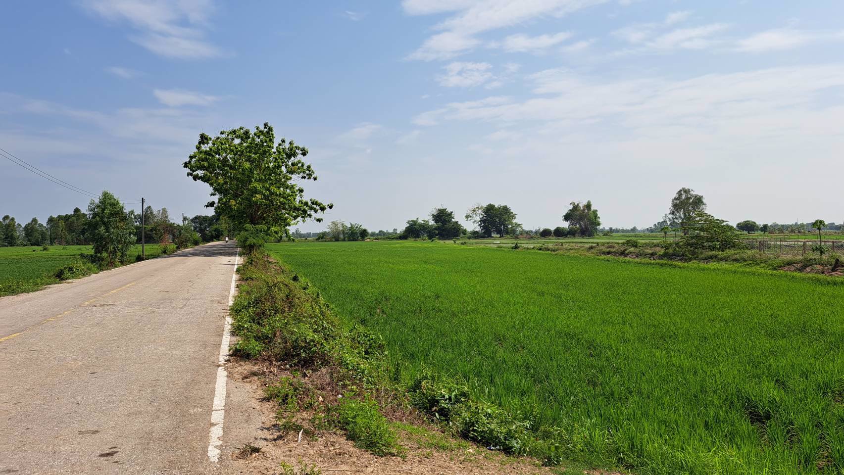 ขายด่วน-ที่ดินโฉนด-9-3-6ไร่-ติดหมู่บ้าน-มีน้ำไฟฟ้า