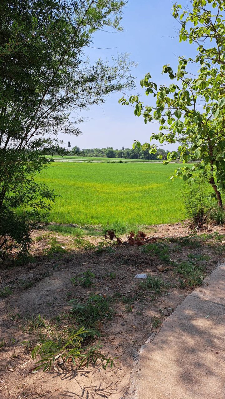 ขายด่วน-ที่ดินโฉนด-9-3-6ไร่-ติดหมู่บ้าน-มีน้ำไฟฟ้า