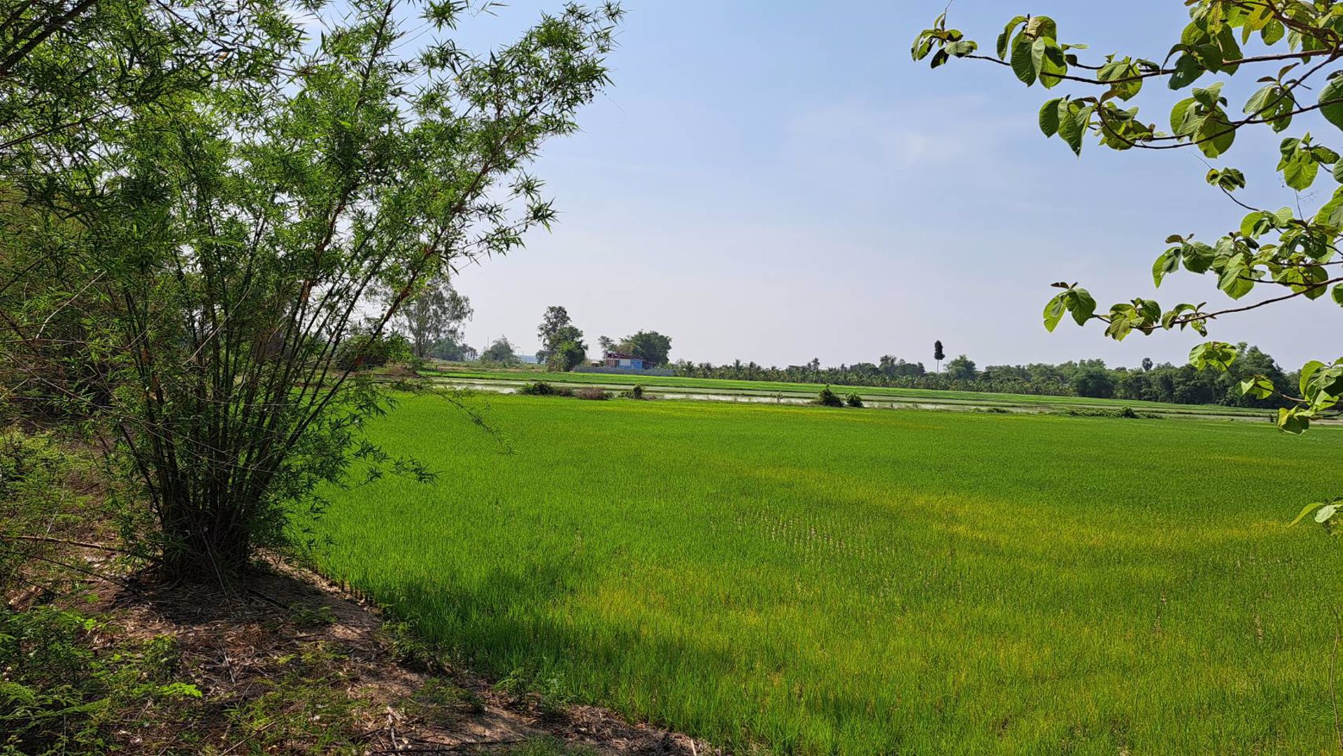 ขายด่วน-ที่ดินโฉนด-9-3-6ไร่-ติดหมู่บ้าน-มีน้ำไฟฟ้า