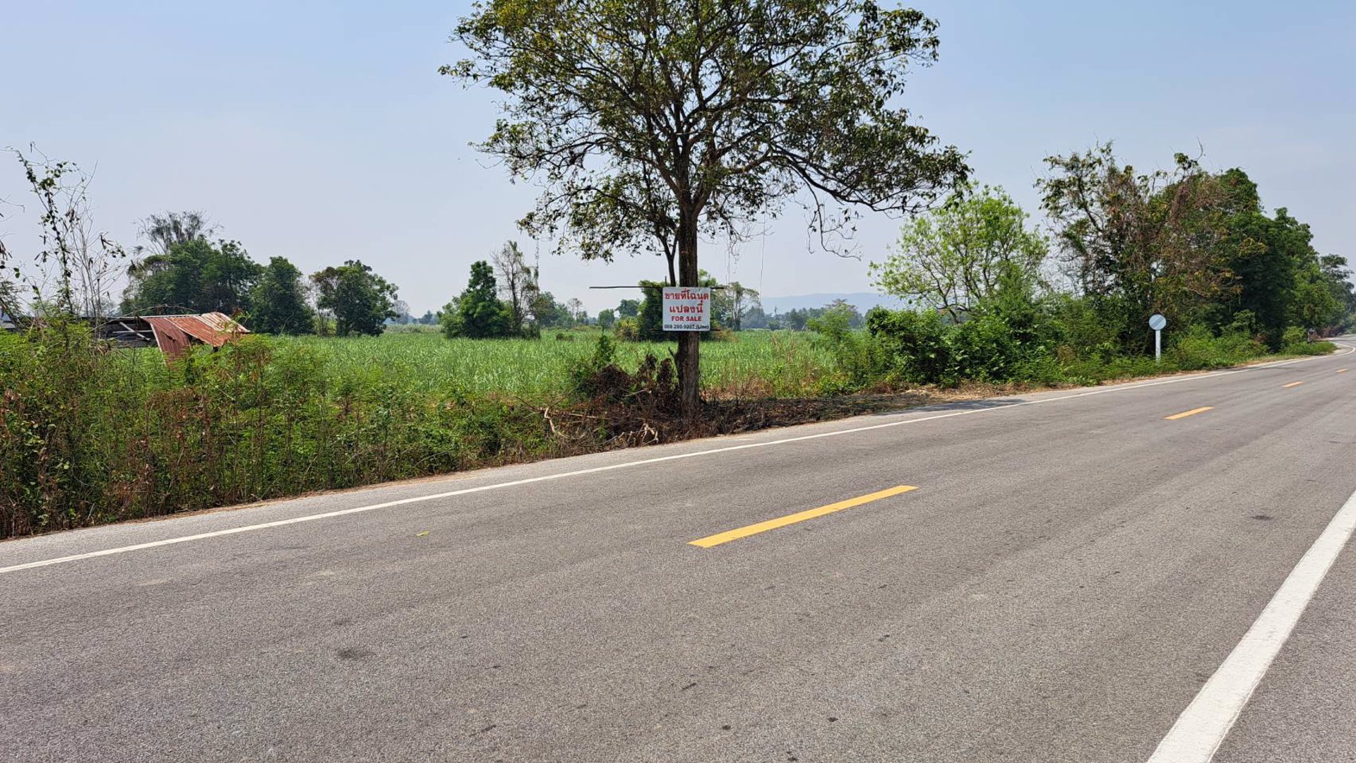 ขายที่โฉนด-ขนาด-29-3-40ไร่