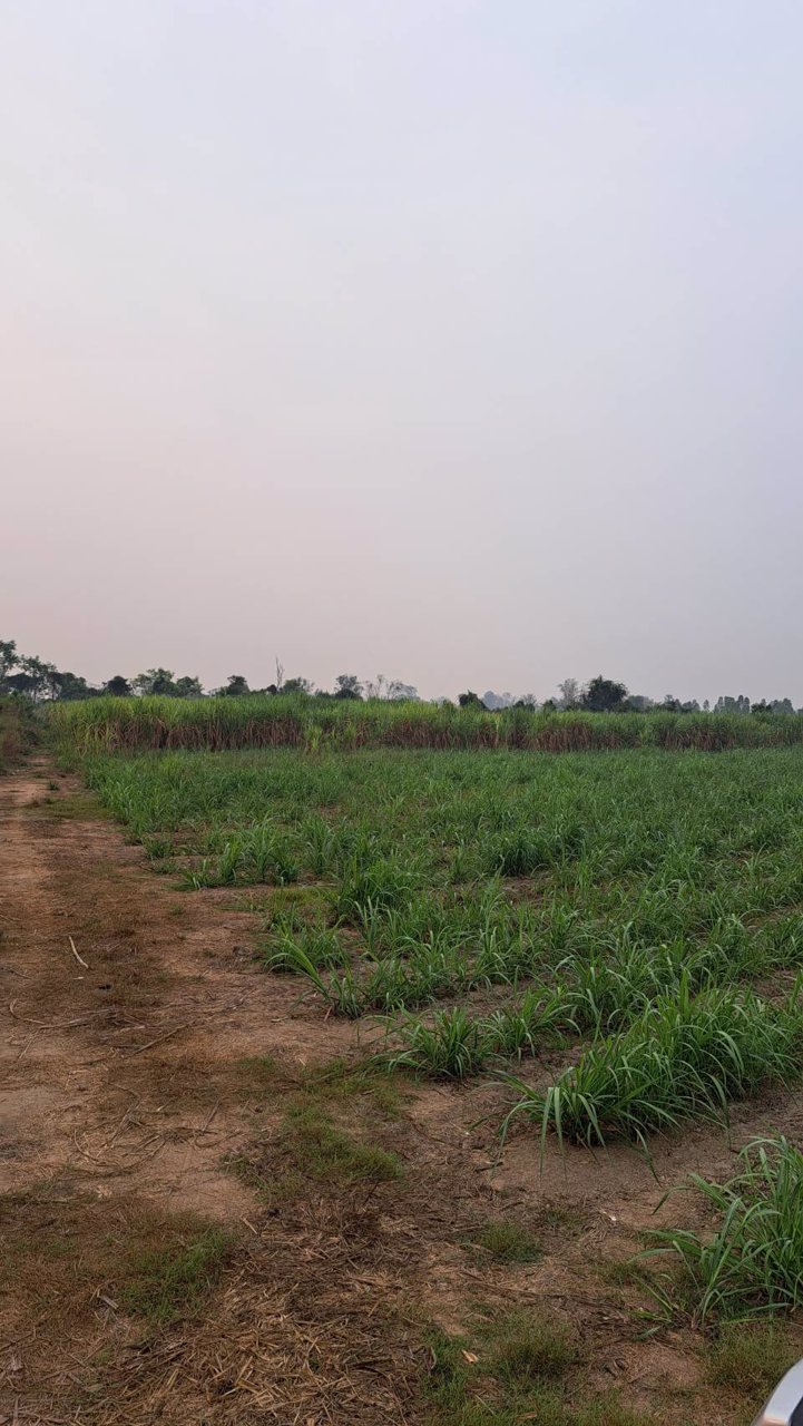 ขายที่โฉนด-ขนาด-29-3-40ไร่