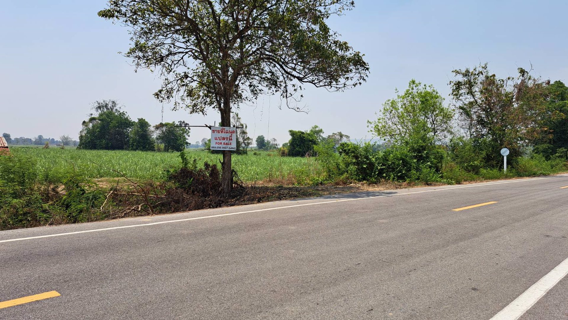 ขายที่โฉนด-ขนาด-29-3-40ไร่