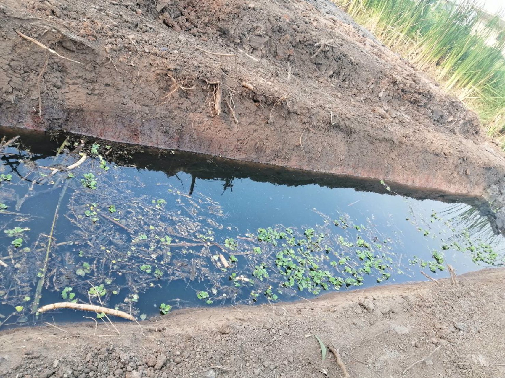 ขายที่ดิน-เนื้อที่-2ไร่-35-ตรว-คลองสาม-คลองหลวง-ปทุมธานี