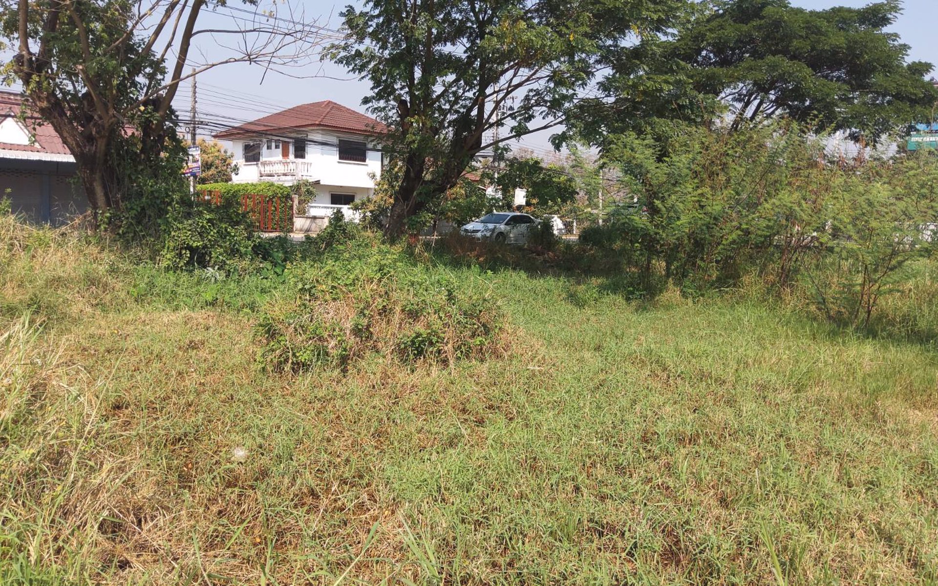 ขายต่ำกว่าราคาตลาดที่ดินขนาด-1ไร่-แปลงมุม-รูปแปลงสวย-ทำเลดี