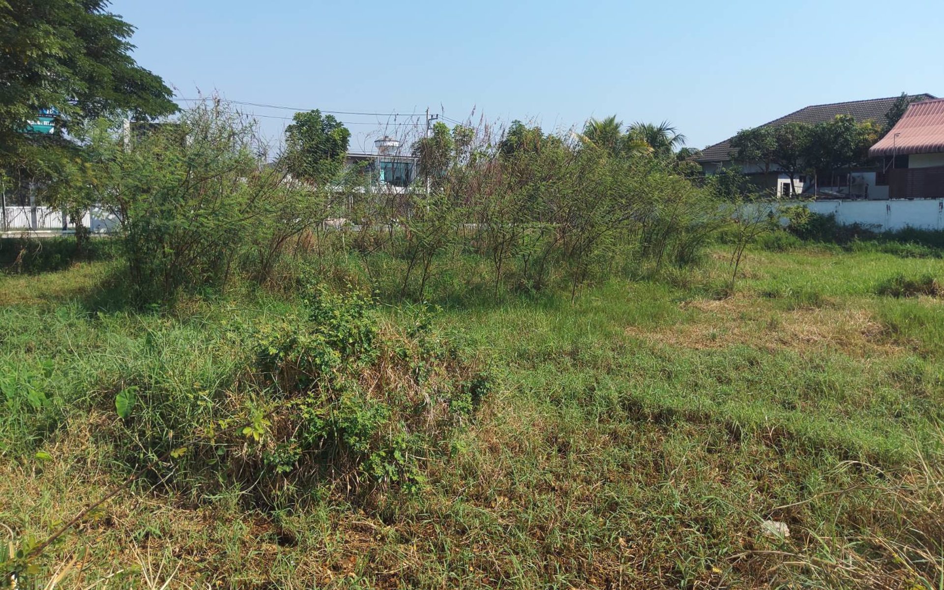 ขายต่ำกว่าราคาตลาดที่ดินขนาด-1ไร่-แปลงมุม-รูปแปลงสวย-ทำเลดี