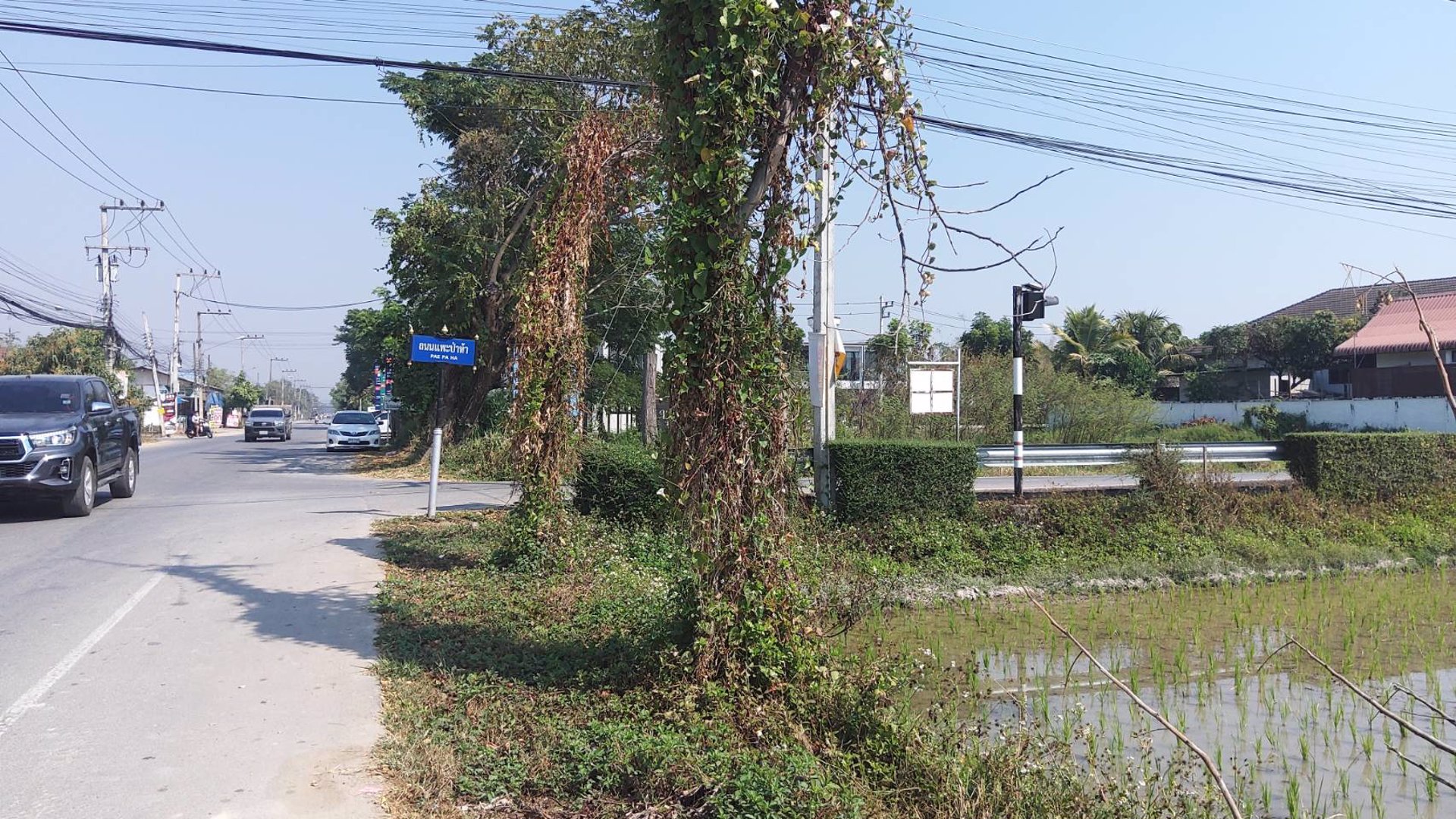 ขายต่ำกว่าราคาตลาดที่ดินขนาด-1ไร่-แปลงมุม-รูปแปลงสวย-ทำเลดี