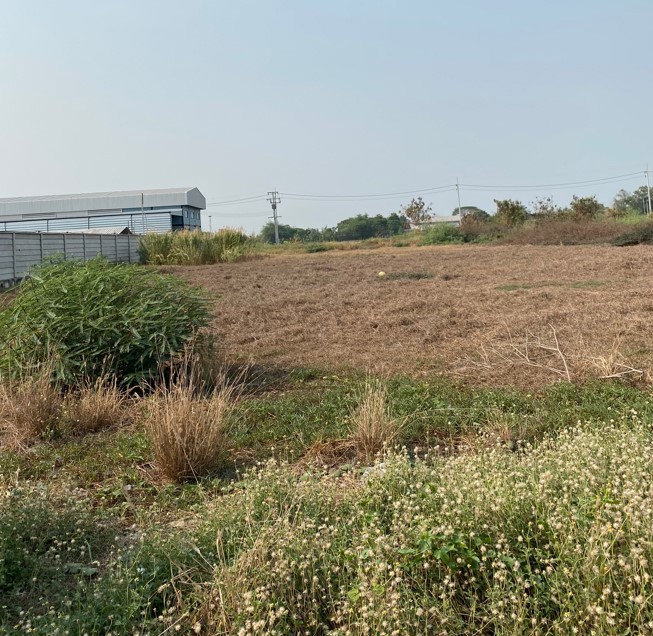 ให้เช่าที่ดินเปล่า-ถมแล้ว-3-ไร่-50-ตรว-ลำลูกกา-คลอง-11-ติดถนนทางหลวงชนบท-ปท-3009