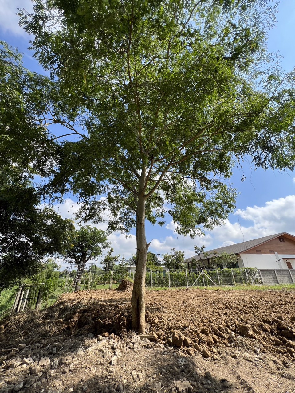 ขายที่วิวสวย-วิวทุ่งนา-วิวดอยสุเทพ-ที่ดินเปล่า-ติด-ดลธารา-ริมแม่น้ำกวง-214-ตรวล้อมรั้วกับประตู