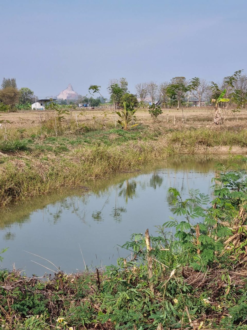 ขายที่ดิน-ที่ถมแล้ว-เนื้อที่-1-ไร่-พร้อมบ่อน้ำ