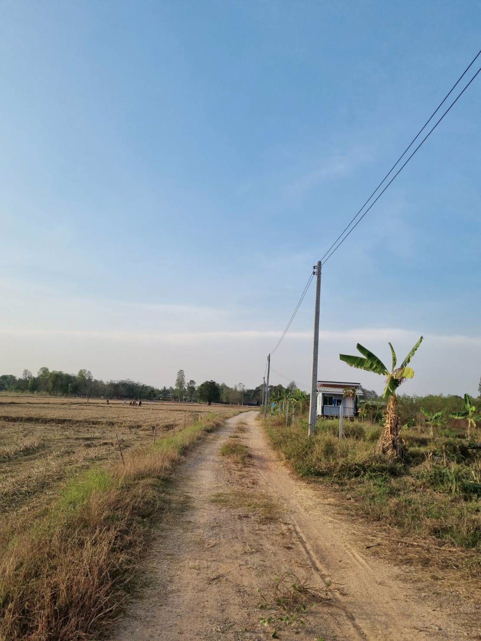 ขายที่ดิน-ที่ถมแล้ว-เนื้อที่-1-ไร่-พร้อมบ่อน้ำ