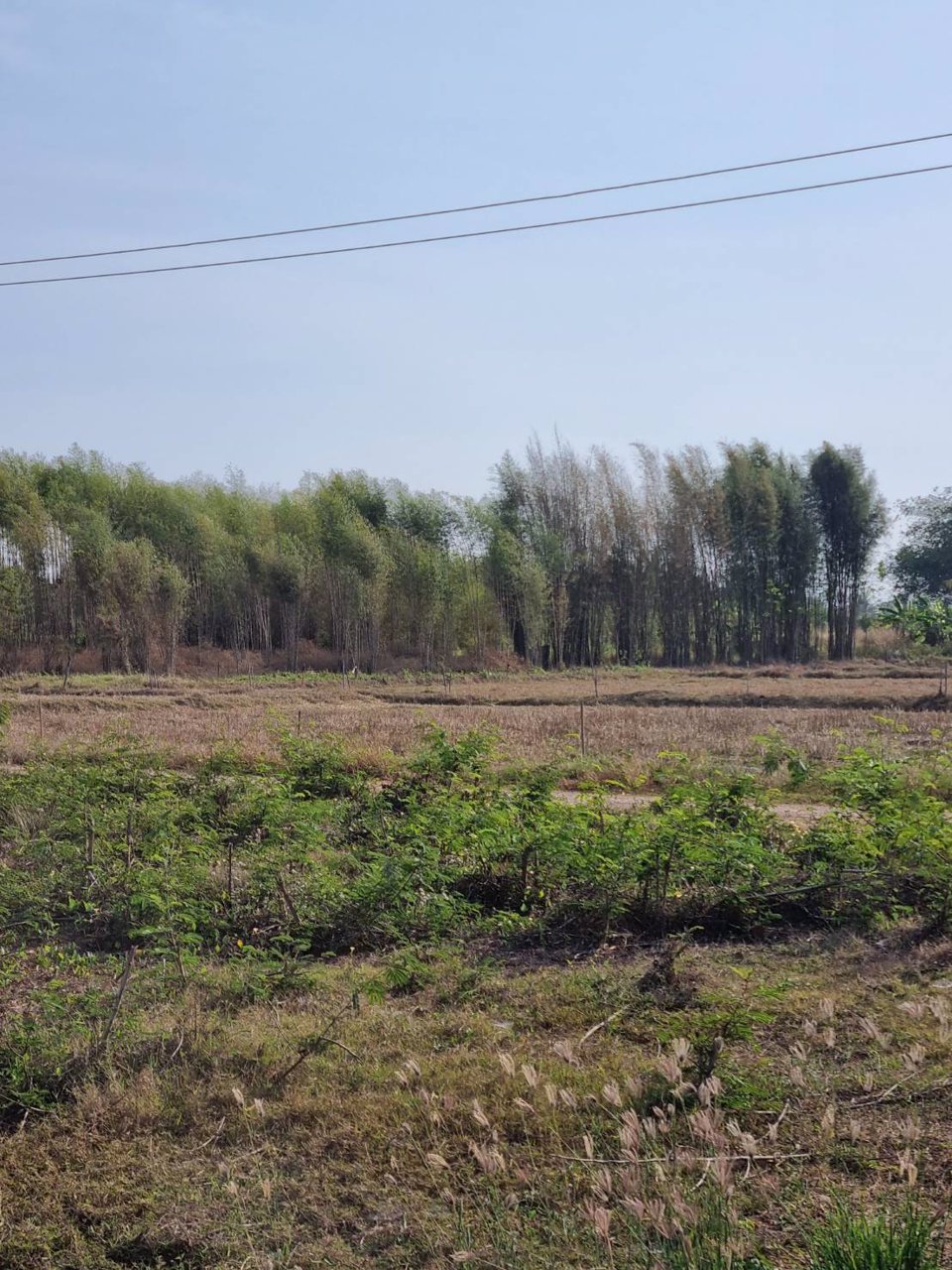 ขายที่ดิน-ที่ถมแล้ว-เนื้อที่-1-ไร่-พร้อมบ่อน้ำ