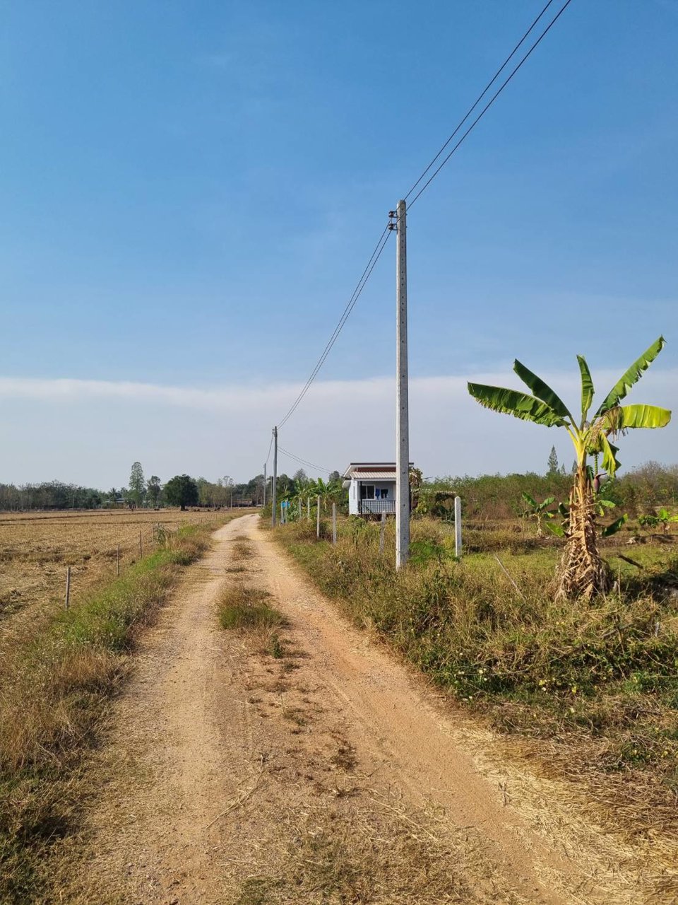 ขายที่ดิน-ที่ถมแล้ว-เนื้อที่-1-ไร่-พร้อมบ่อน้ำ