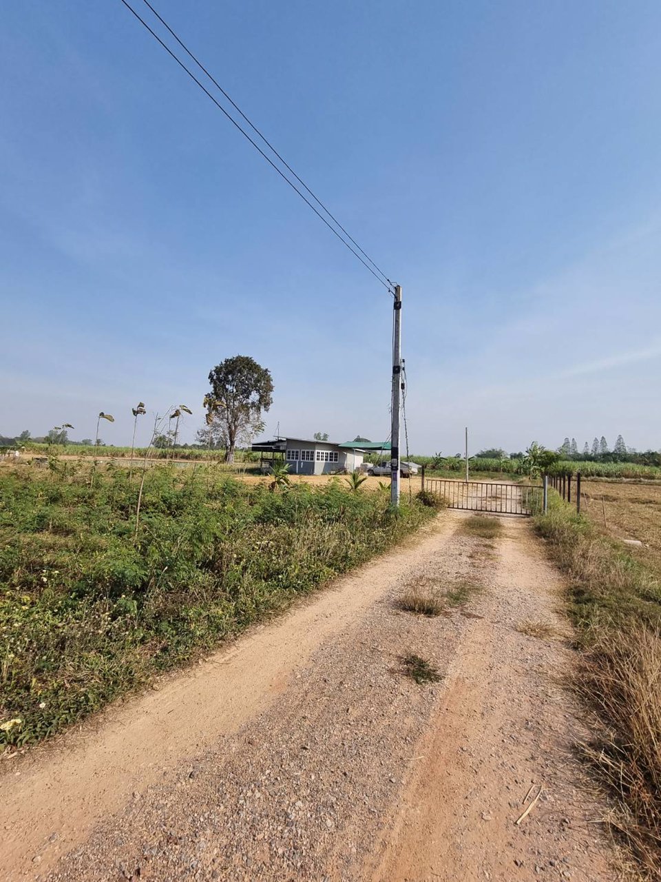 ขายที่ดิน-ที่ถมแล้ว-เนื้อที่-1-ไร่-พร้อมบ่อน้ำ