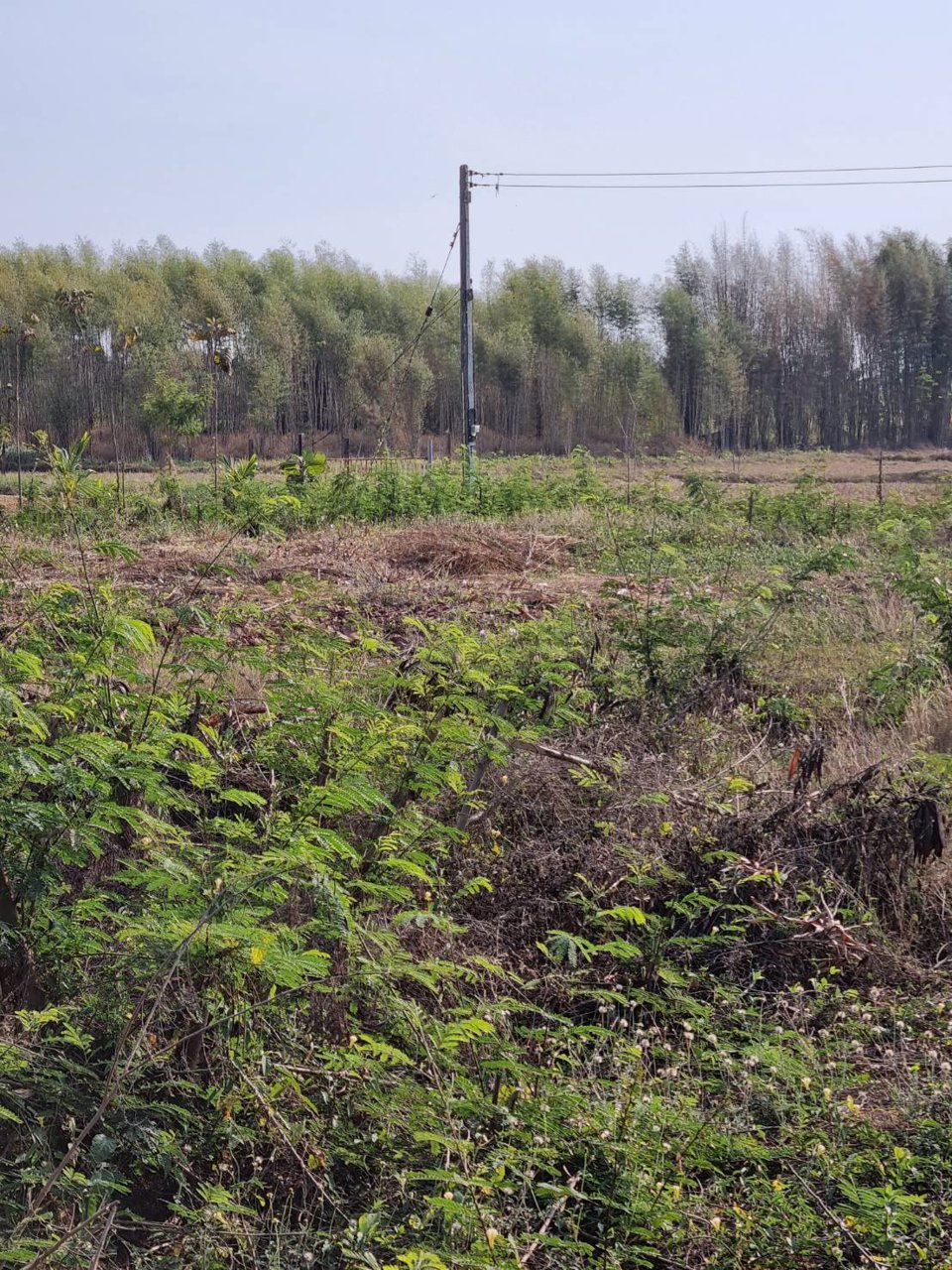 ขายที่ดิน-ที่ถมแล้ว-เนื้อที่-1-ไร่-พร้อมบ่อน้ำ