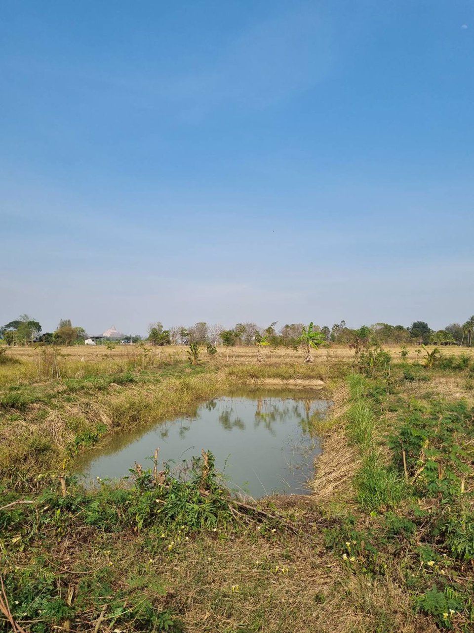 ขายที่ดิน-ที่ถมแล้ว-เนื้อที่-1-ไร่-พร้อมบ่อน้ำ