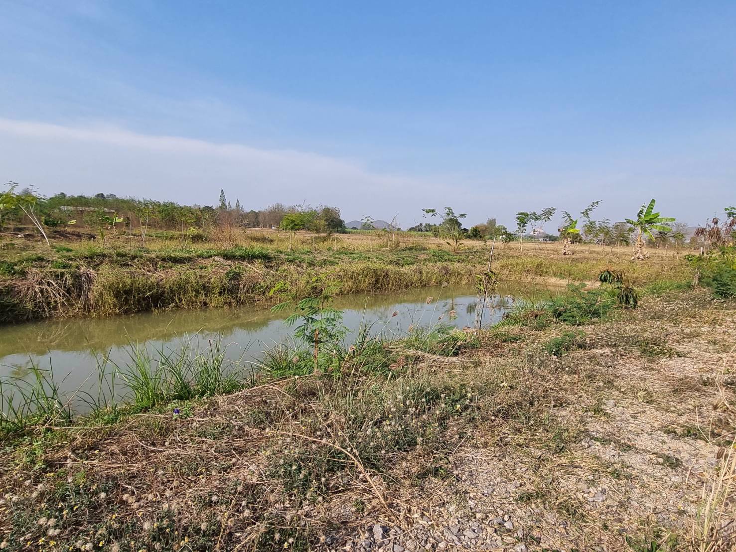 ขายที่ดิน-ที่ถมแล้ว-เนื้อที่-1-ไร่-พร้อมบ่อน้ำ