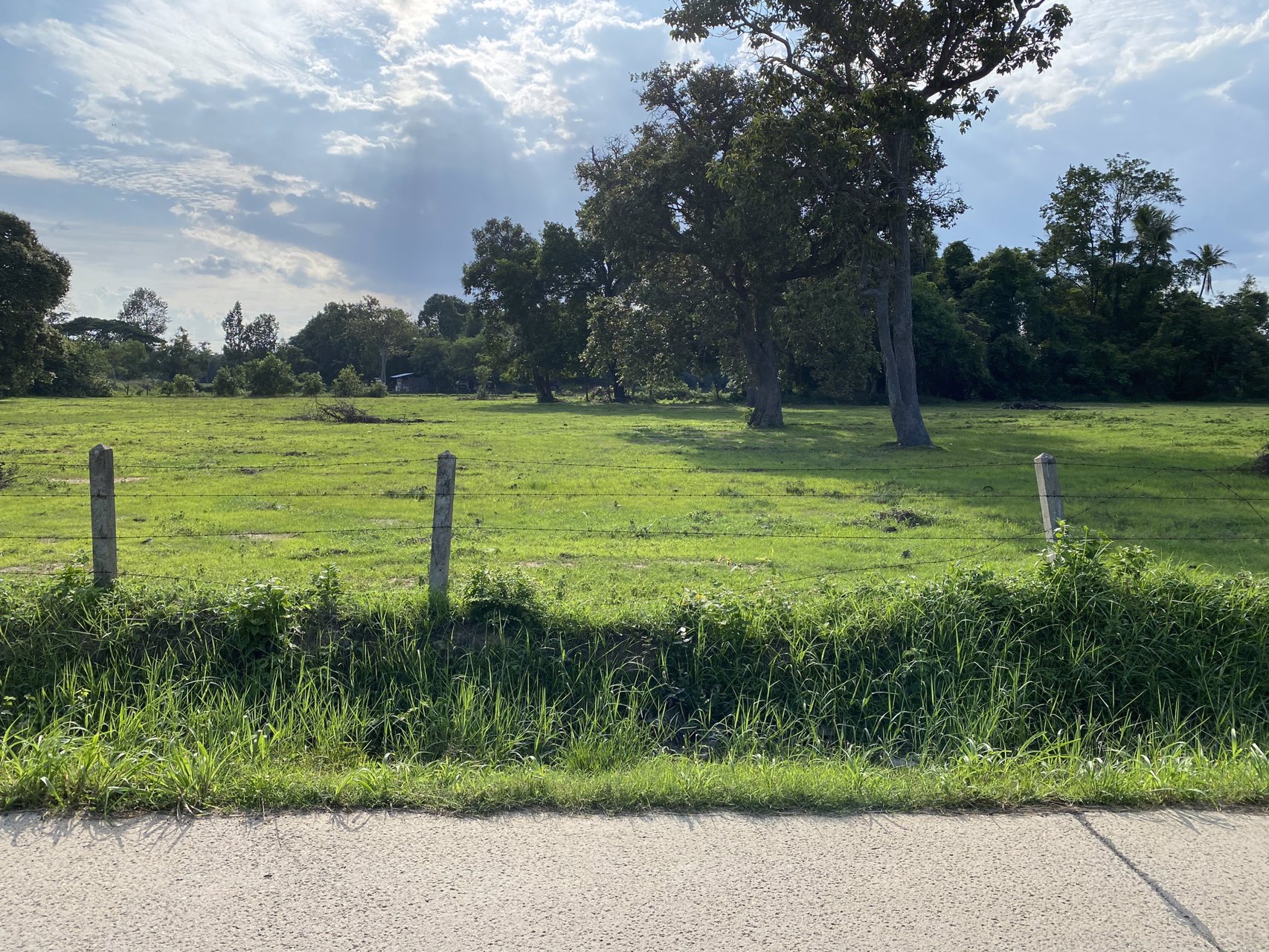 ที่ดินถูกมาก-เนื้อที่-6-ไร่-2-งาน-74-ตรว