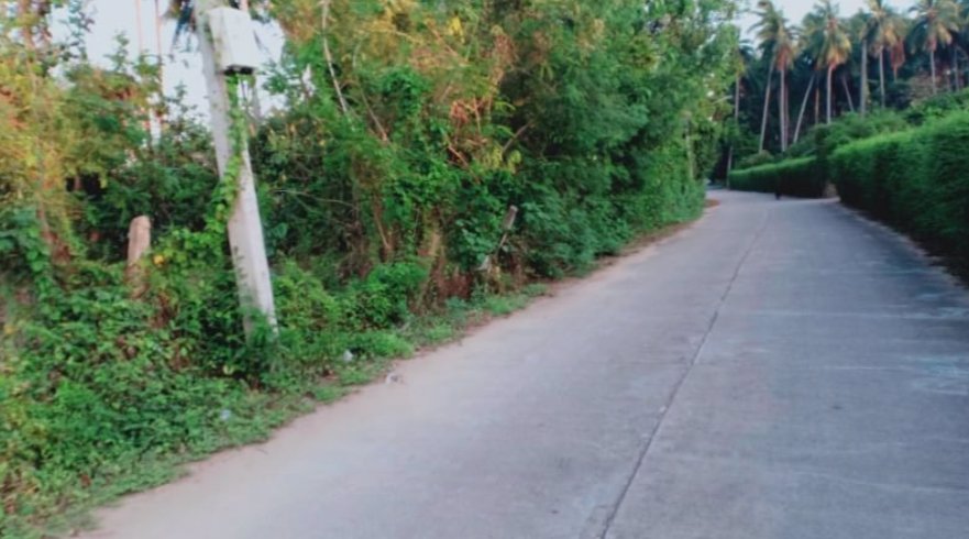 ขายที่ดินเนื้อที่-3-ไร่-3-งาน-79-ตรว-ในเมือง-จตาก