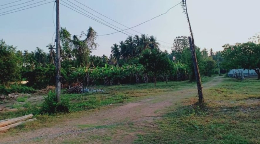 ขายที่ดินเนื้อที่-3-ไร่-3-งาน-79-ตรว-ในเมือง-จตาก