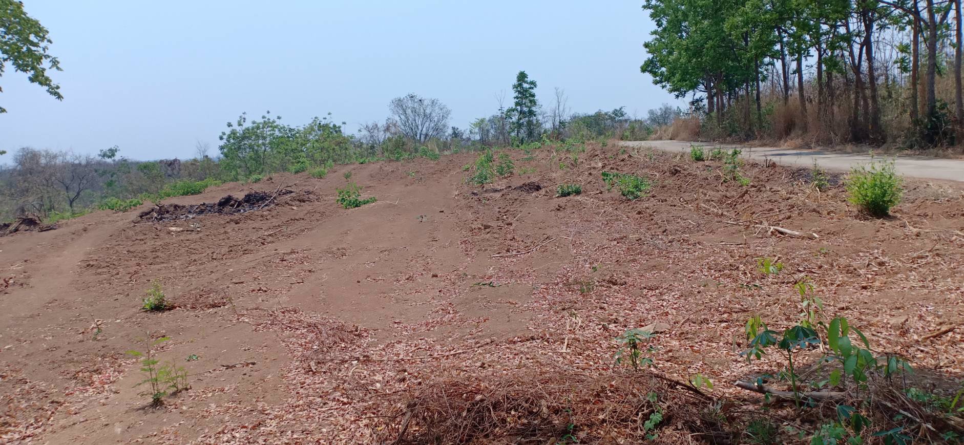 ขายที่ดิน-3-ไร่-1-งาน-74-ตรว