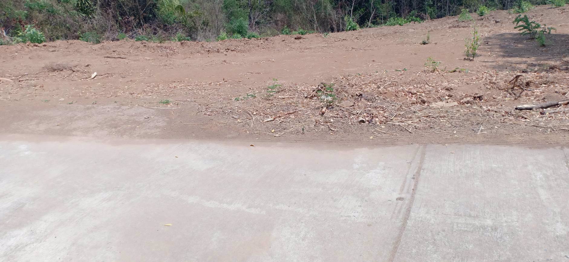 ขายที่ดิน-3-ไร่-1-งาน-74-ตรว