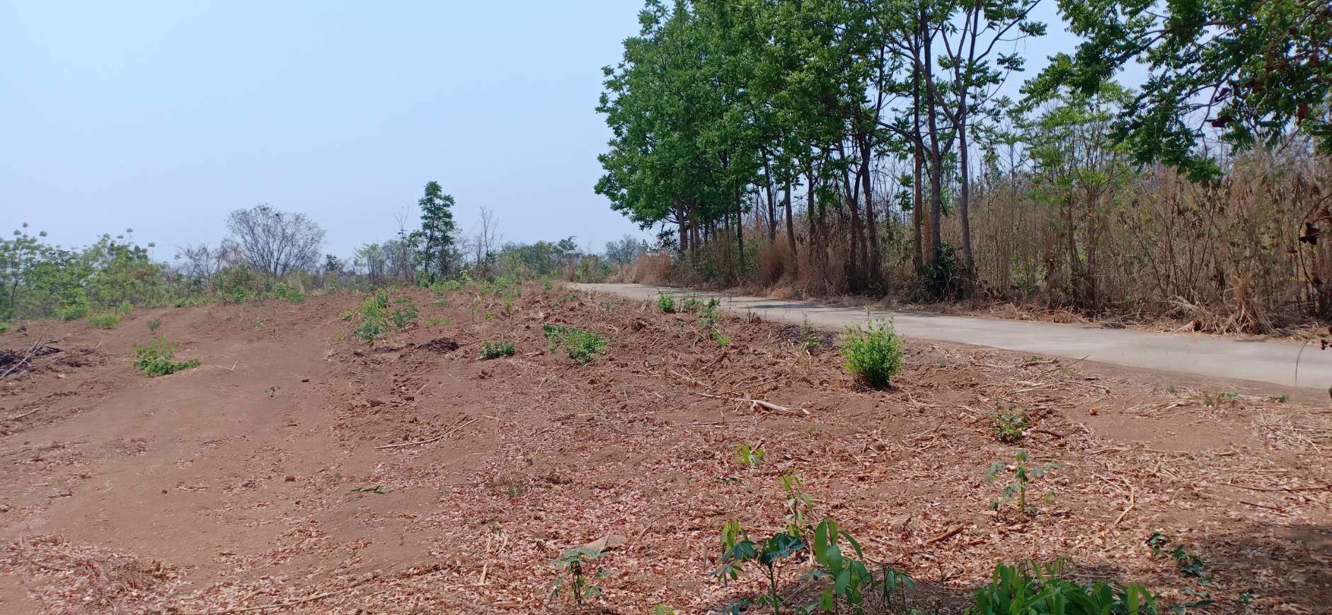 ขายที่ดิน-3-ไร่-1-งาน-74-ตรว