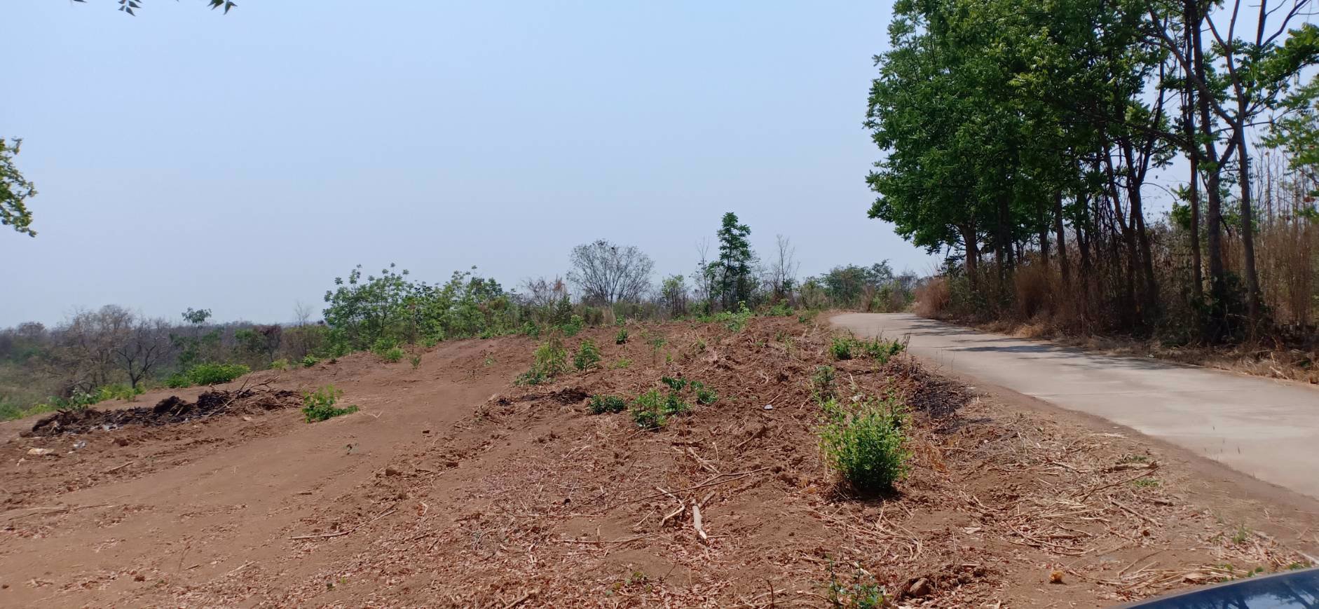 ขายที่ดิน-3-ไร่-1-งาน-74-ตรว