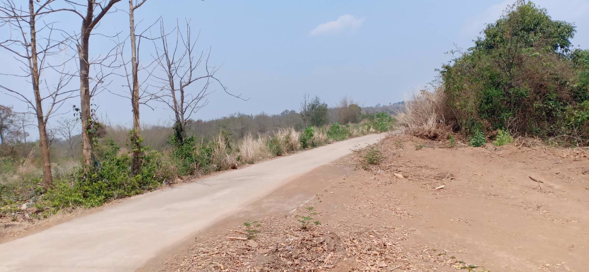 ขายที่ดิน-3-ไร่-1-งาน-74-ตรว