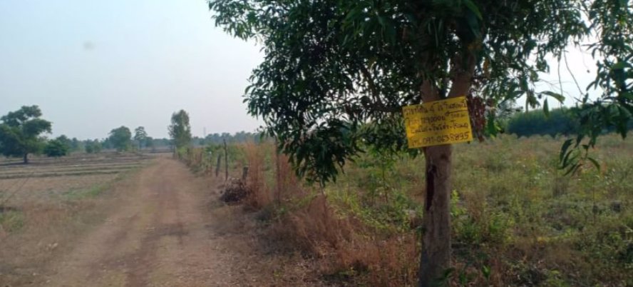 ขายที่ดิน-4ไร่-ราคาราคาไร่ละ139000บาท