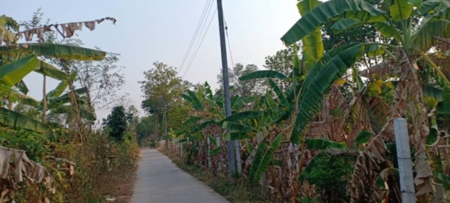 ขายที่ดิน-4ไร่-ราคาราคาไร่ละ139000บาท