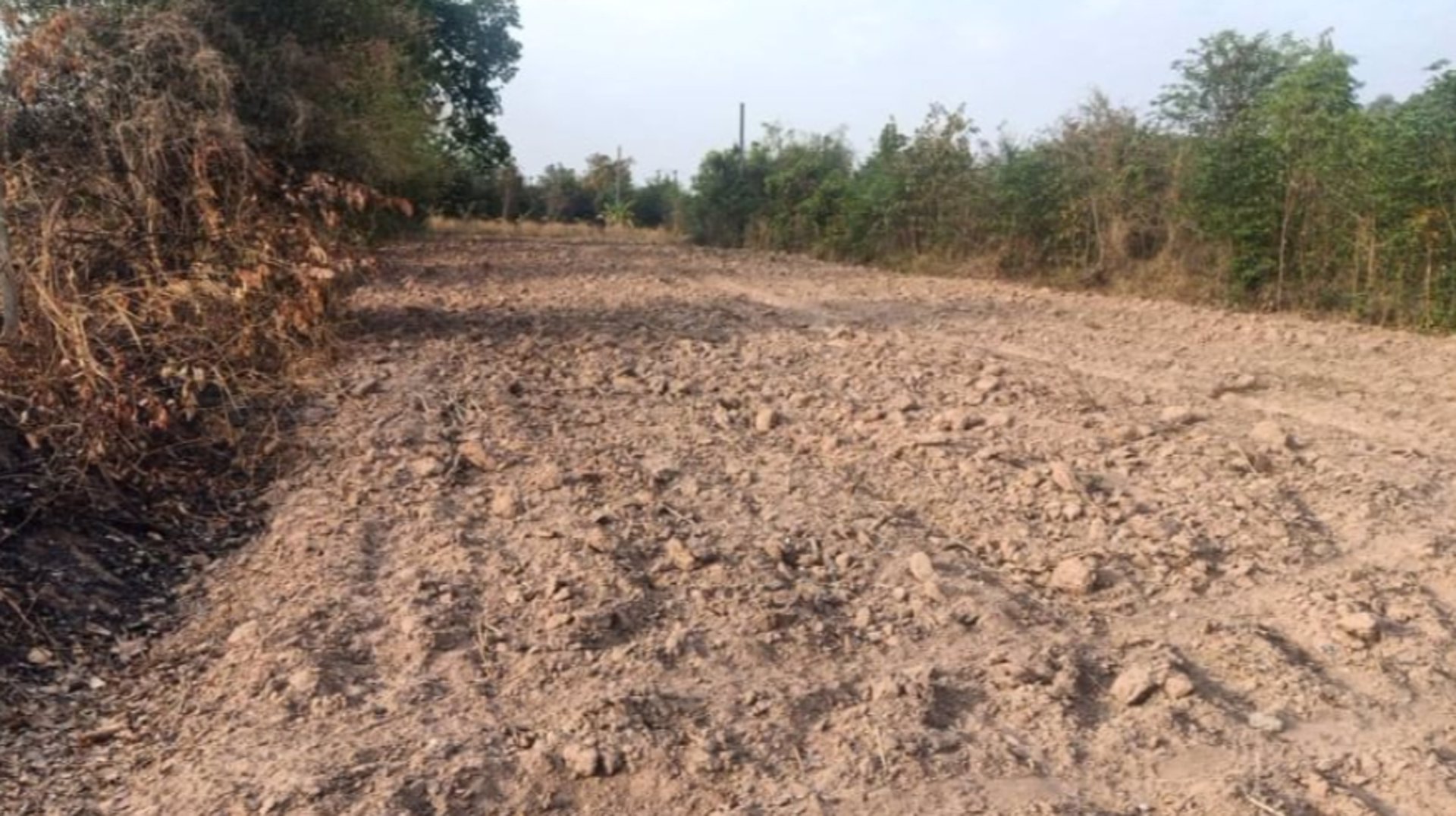 ขายที่ดิน-เนื้อที่-80-ตรว-ราคา-150000บาท