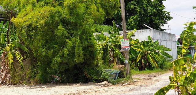 ขายที่ดินแปลงสวย-51-ตาราวา-ในซอยสายไหม-72-เข้าซอยเพียง-170-เมตร