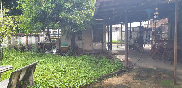 ขายที่ดิน-132-ตรวา-ซอยสุขุมวิท-111-ใกล้-bts-สำโรง-หางปากซอยสุขุมวิท180-มทะลุไปแบริ่งได้