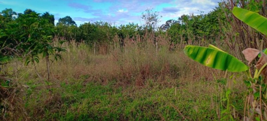 ขายที่ดินจัดสรร-เนื้อที่-81ตรว-ราคา179000บาท-ผ่อนวัน100บาท-มีน้ำ-ไฟฟ้า