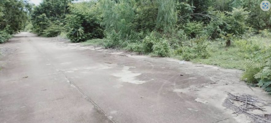 ขายที่ดินเนื้อที่100-ตรวราคา190000บาท