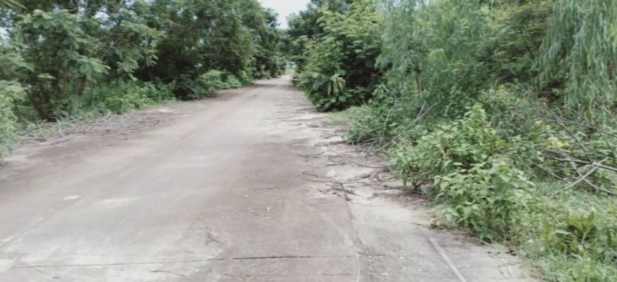 ขายที่ดินเนื้อที่100-ตรวราคา190000บาท