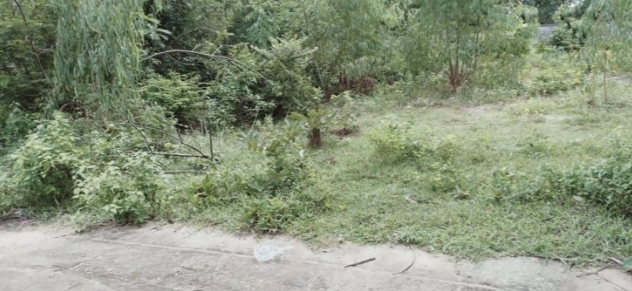 ขายที่ดินเนื้อที่100-ตรวราคา190000บาท