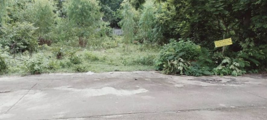 ขายที่ดินเนื้อที่100-ตรวราคา190000บาท