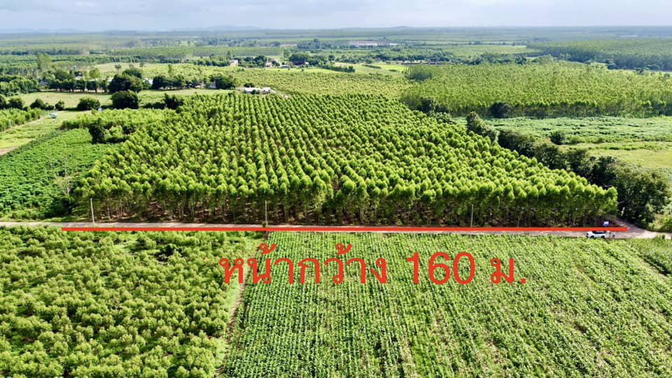 ขายถูก-ที่ดิน-กบินทร์บุรี-ปราจีนบุรี