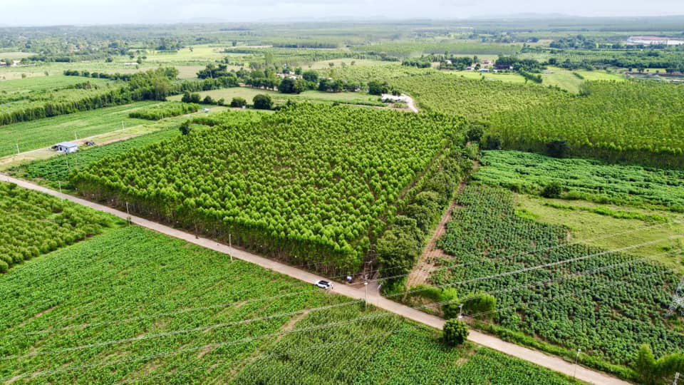 ขายถูก-ที่ดิน-กบินทร์บุรี-ปราจีนบุรี