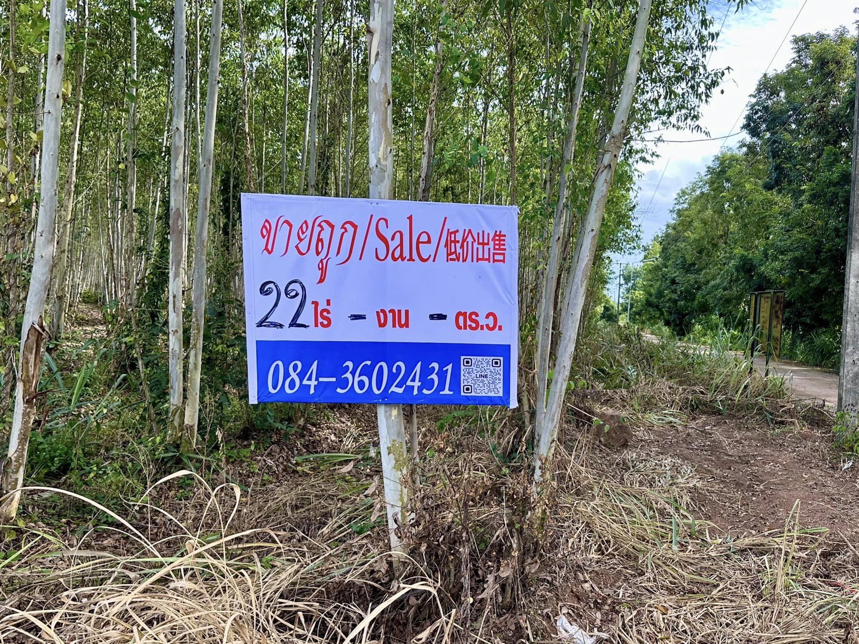 ขายถูก-ที่ดิน-กบินทร์บุรี-ปราจีนบุรี