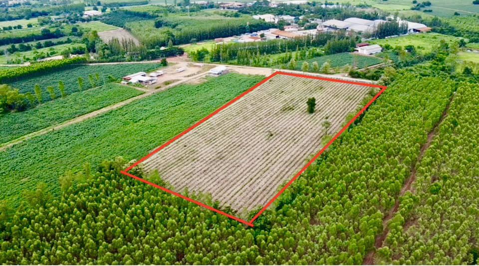 ขายถูก-ที่ดิน-ศรีมหาโพธิ-ปราจีนบุรี