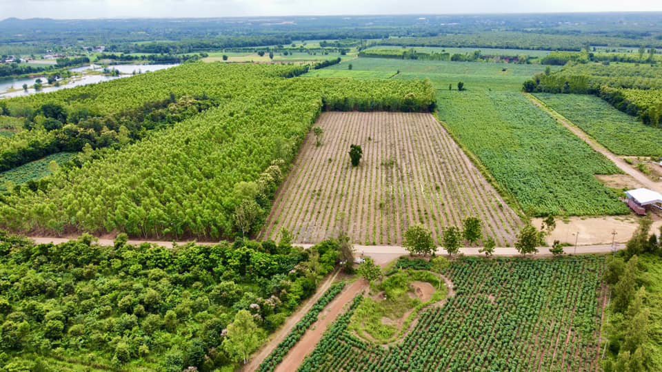 ขายถูก-ที่ดิน-ศรีมหาโพธิ-ปราจีนบุรี